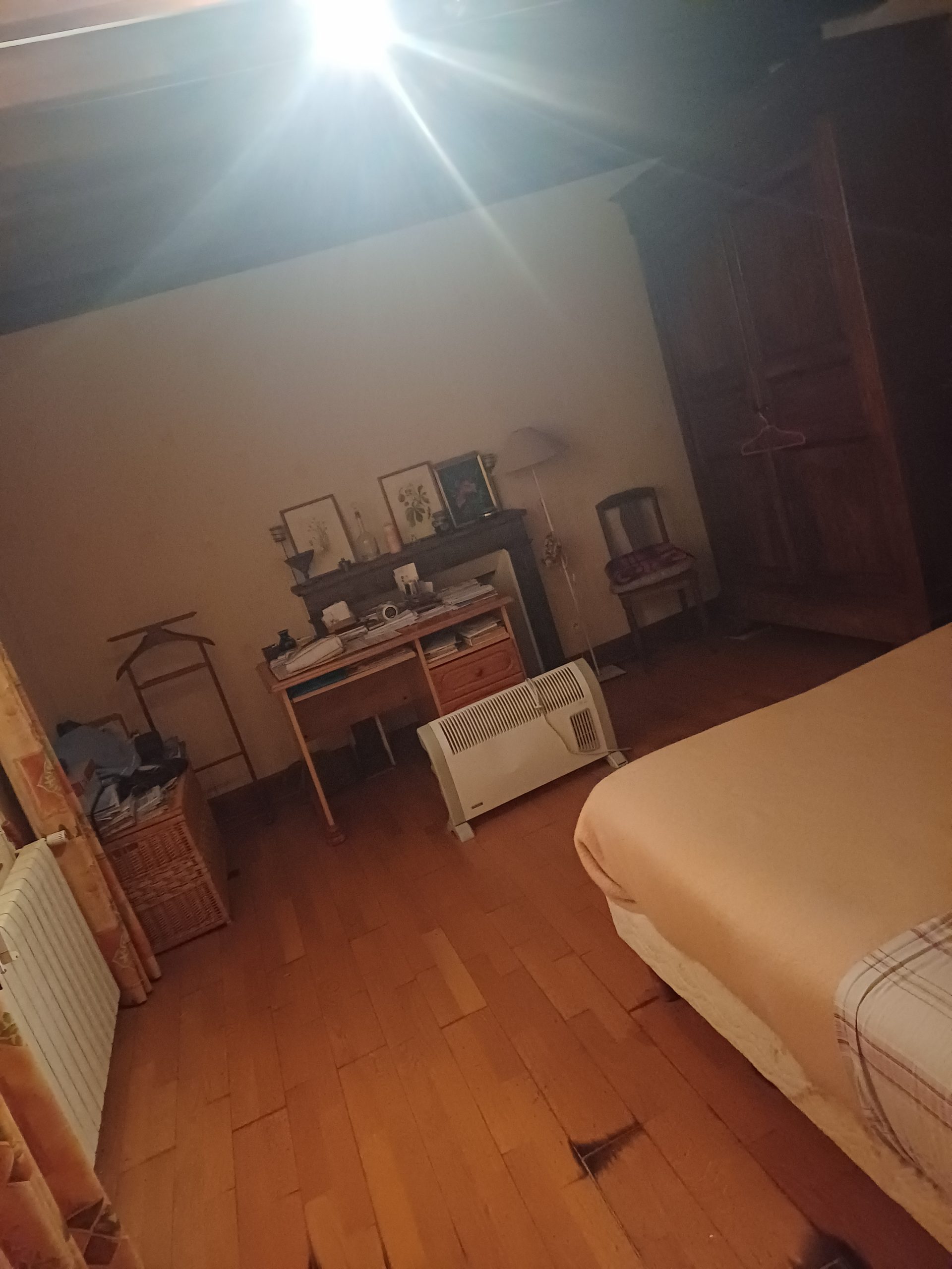 20241119_090824